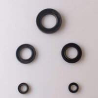 Juego de sellos de aceite de motor para Kawasaki GPZ Z ZR ZR-7 ZX 750