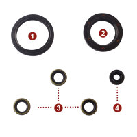 Motor Simmerring Dichtring Set für Kawasaki Z 1000...