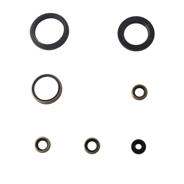 Juego de sellos de aceite de motor para Kawasaki GPZ 1100 Uni Trak A 83-85