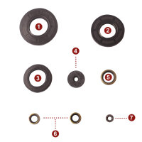 Motor Simmerring Dichtring Set für Kawasaki H2 750...