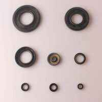 Jeu de joints dhuile moteur pour Kawasaki H2 750 Mach 4 72-75