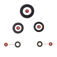 Motor Simmerring Dichtring Set für Kawasaki GPX ZL...