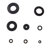 Set paraolio motore per Kawasaki H1 500 69-75