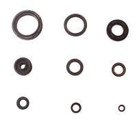 Set paraolio motore per Yamaha YZ 250 88-97