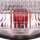 Tail Light  Rear Light Complete for Yamaha YZF 600 RH Thunder Cat 4TV # 96-02