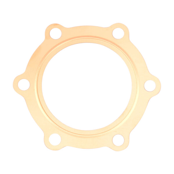Guarnizione della testata per Yamaha DT 175 MX # 78-80 # 1W2-11181-00